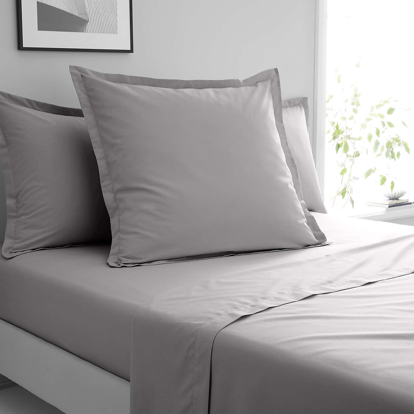 Pure Cotton Continental Square Pillowcase
