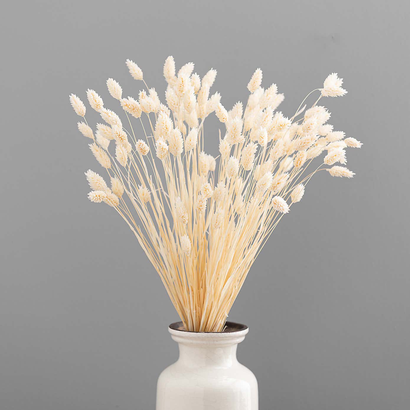 Dried Phalaris Bouquet