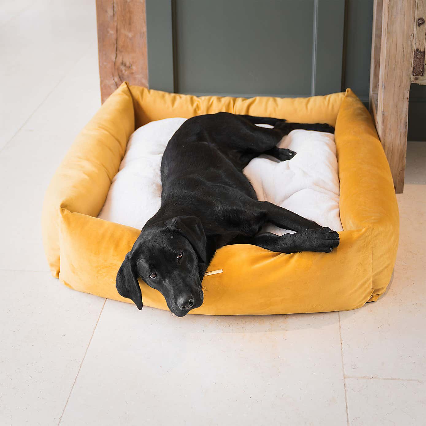 Lords and Labradors Velvet Box Dog Bed