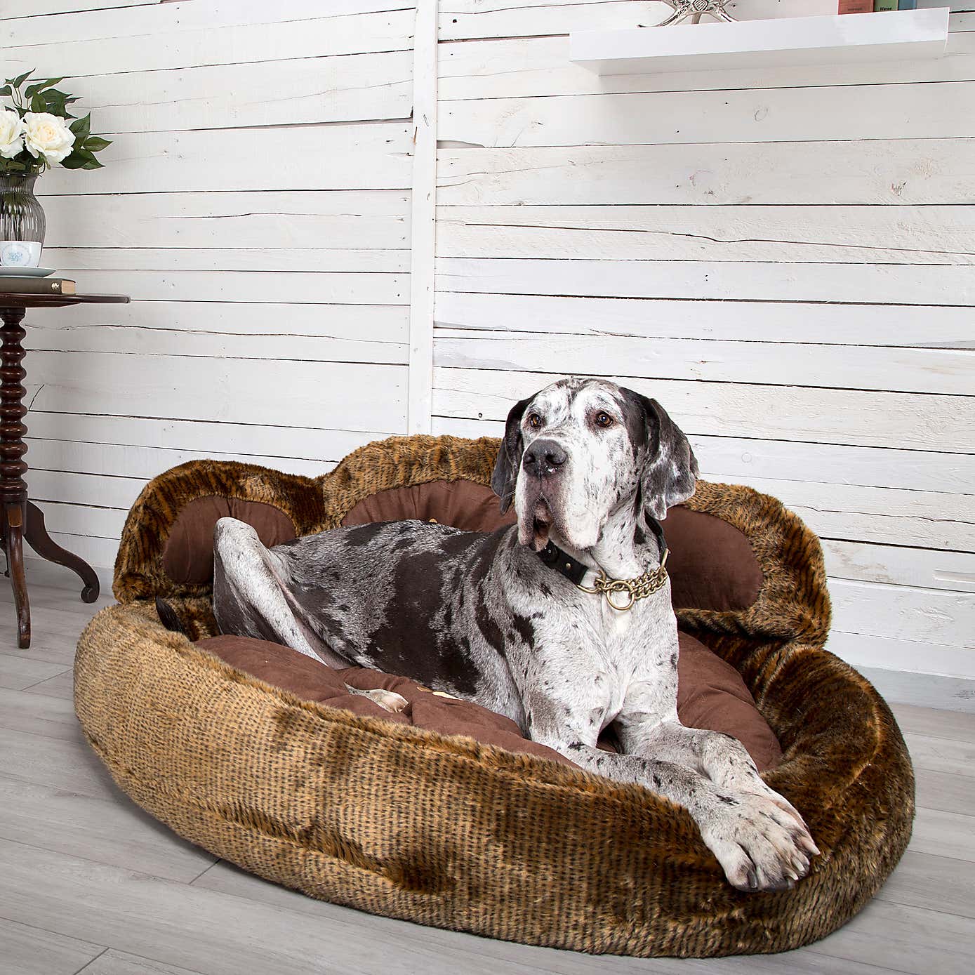 Scruffs Grizzly Bear Dog Bed