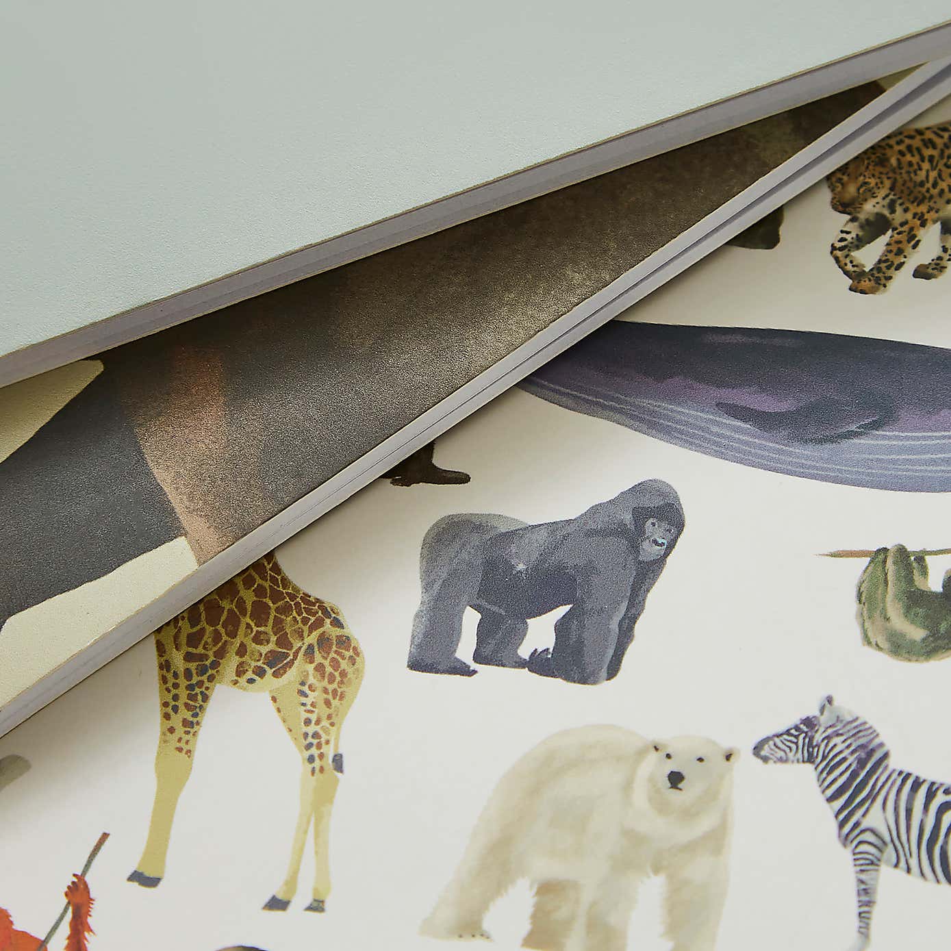 Set of 3 Mammals Softcover Notebooks