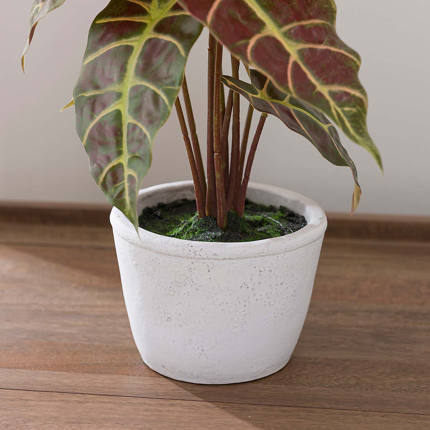 Artificial Alocasia Plant in White Cement Plant Pot