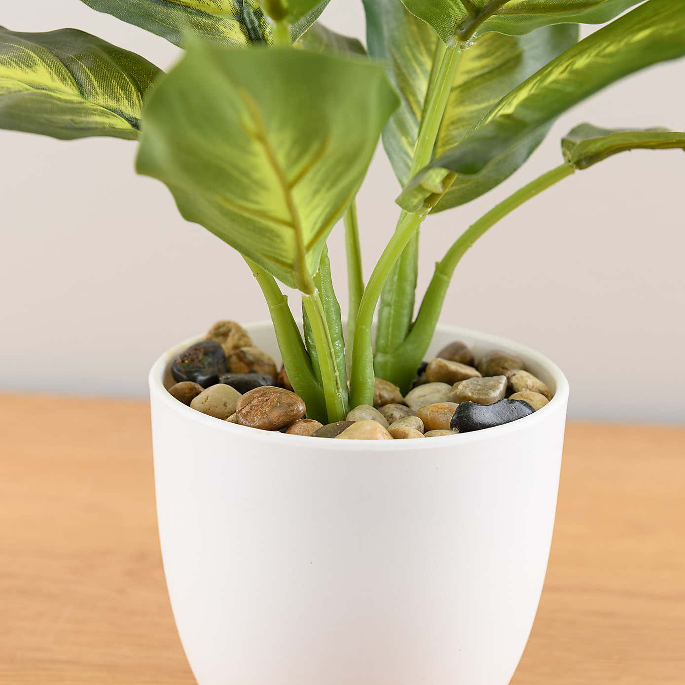 Artificial Dieffenbachia in White Plant Pot