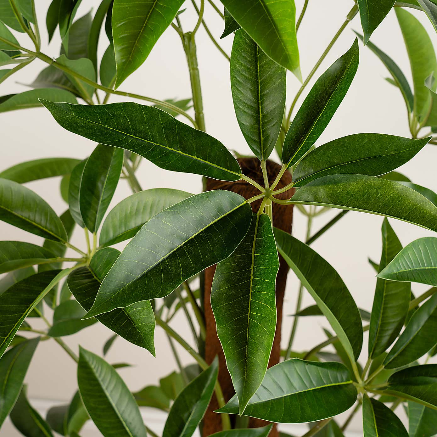 Artificial Climbing Umbrella Plant in White Plant Pot