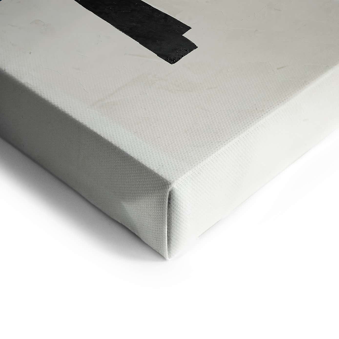 Set of 2 Blocked Neutral Canvases