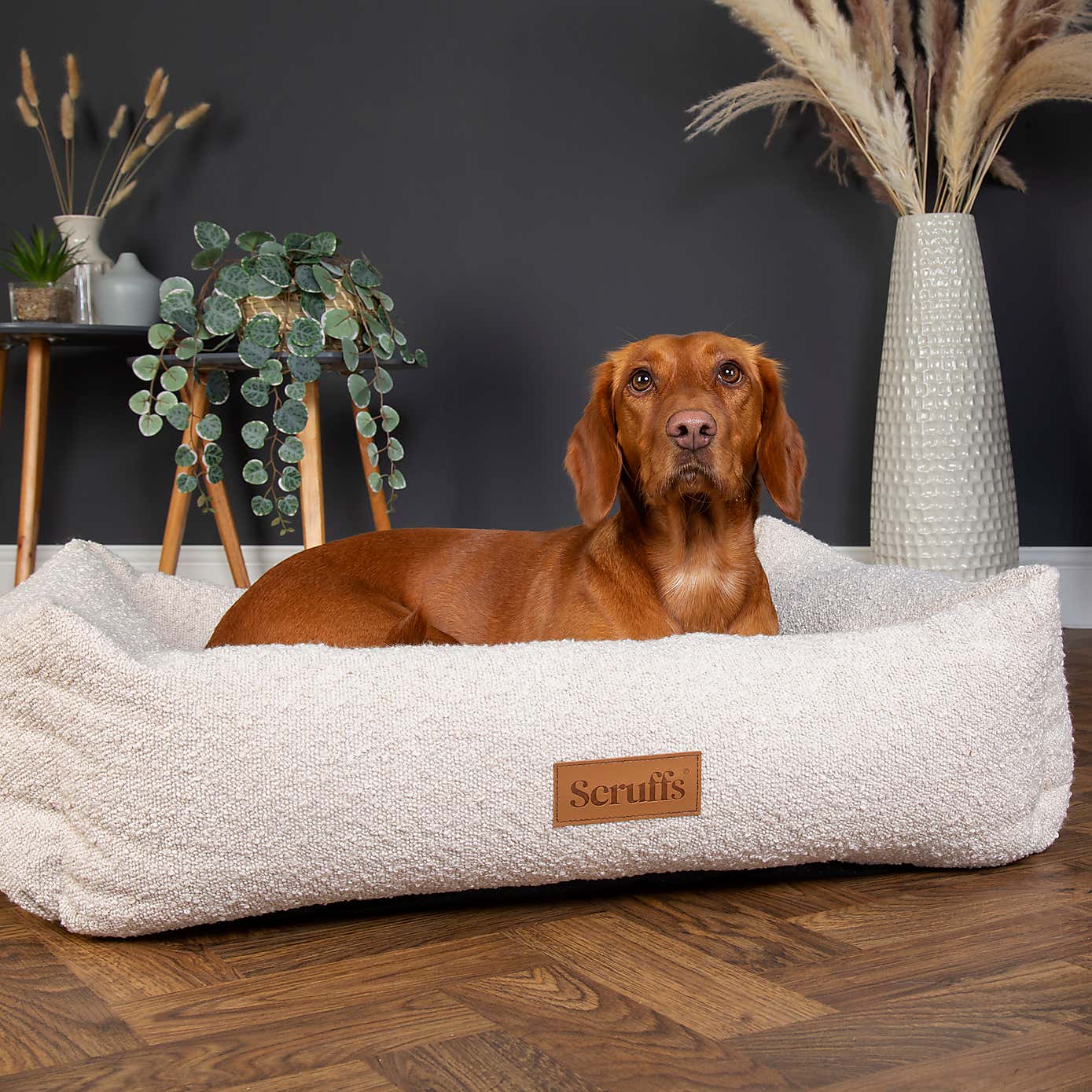 Scruffs Boucle Box Bed