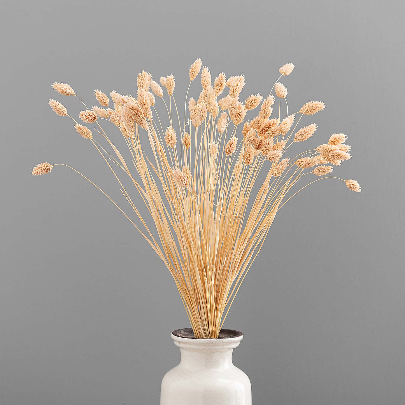 Dried Phalaris Bouquet