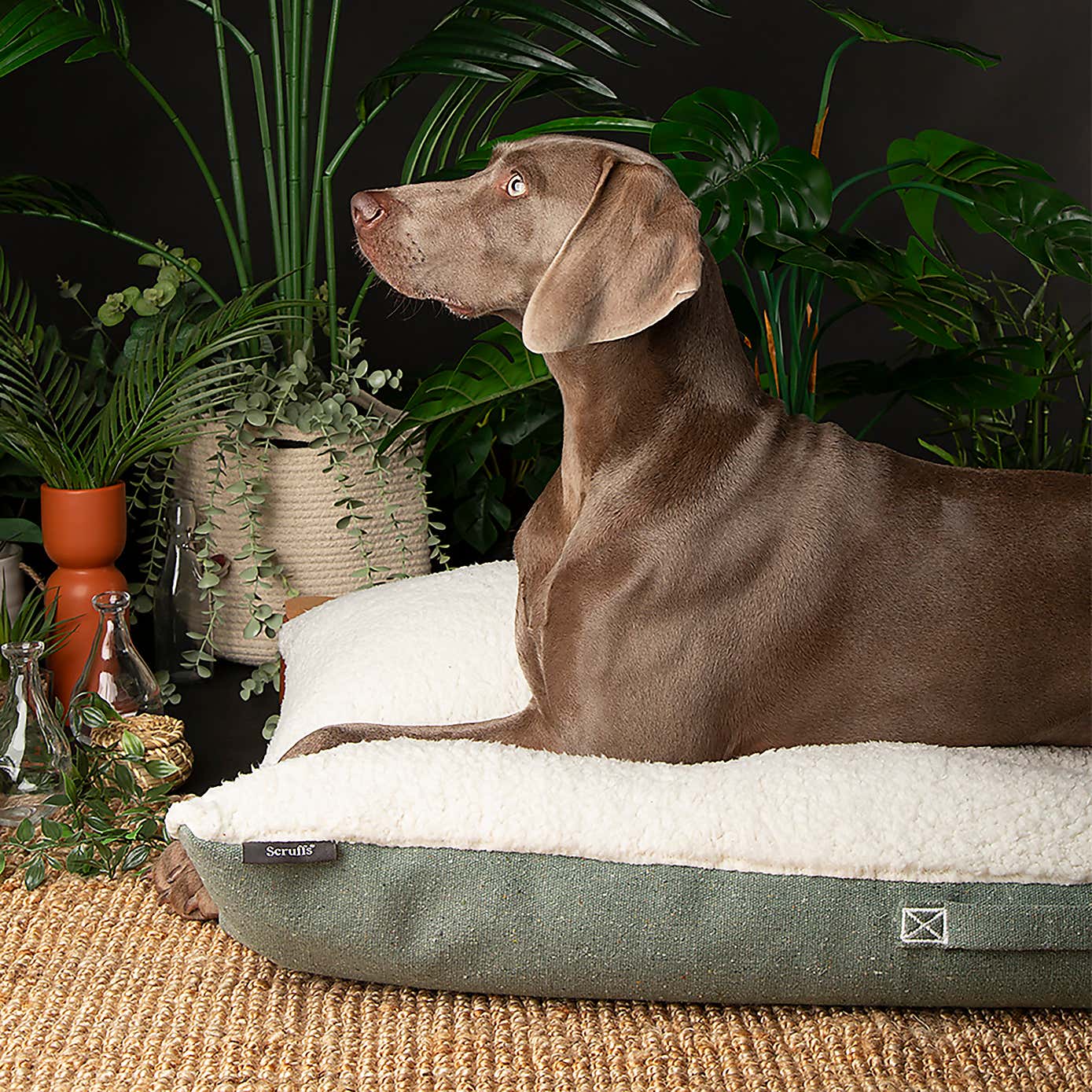 Scruffs 100% Recycled Eden Dog Pillow
