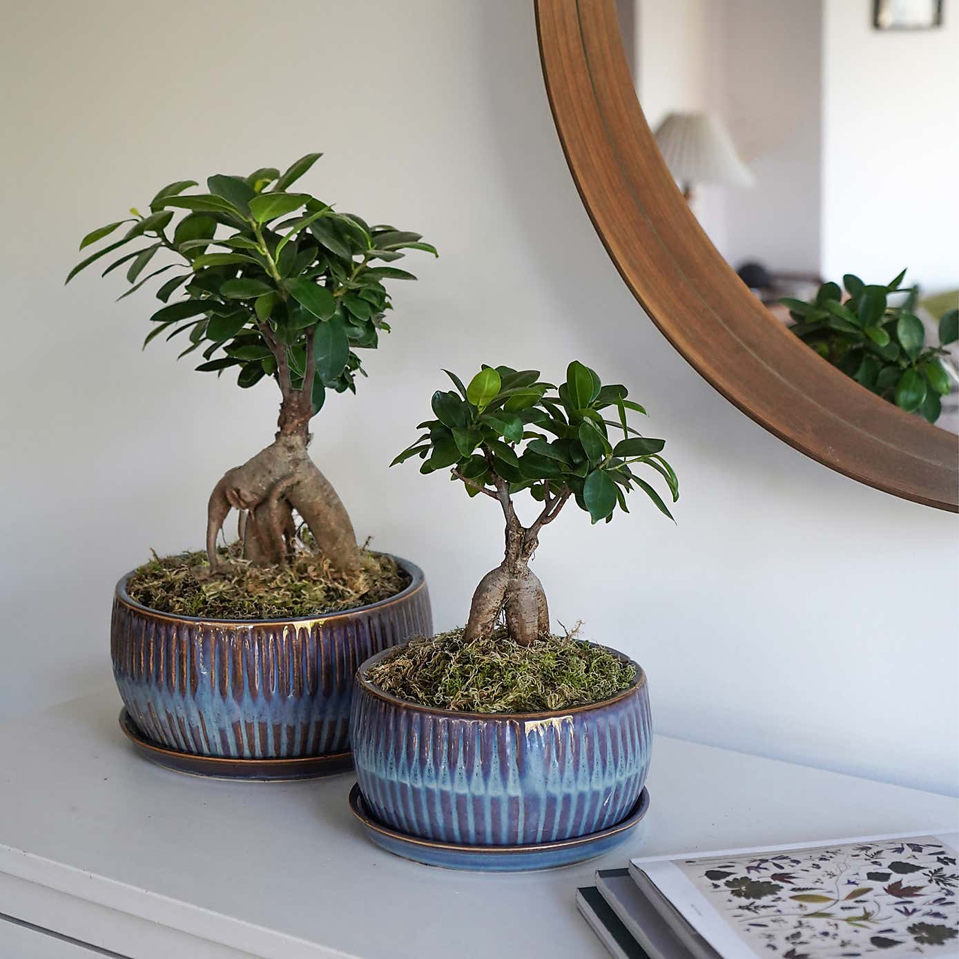 Set of 2 Round Reactive Glaze Bonsai Plant Pots