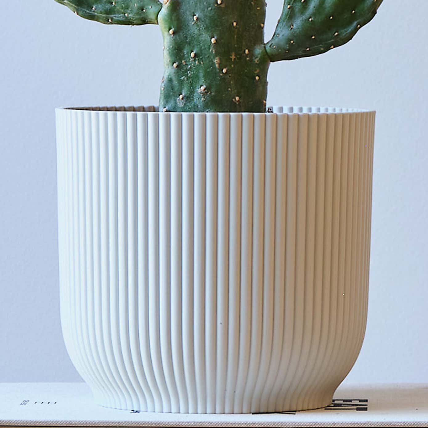 Cowboy Cactus House Plant in Elho Pot