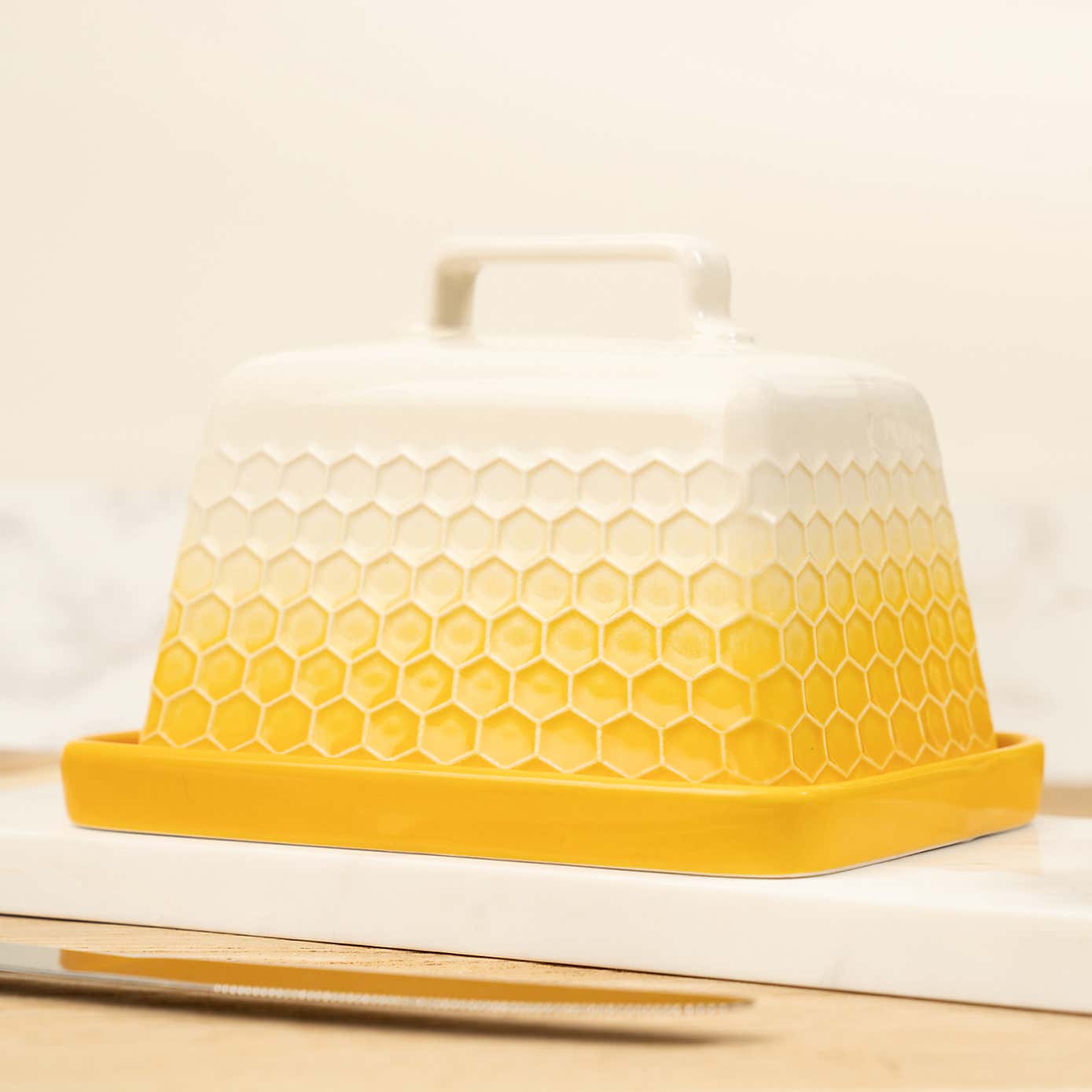 Kitchen Pantry Butter Dish