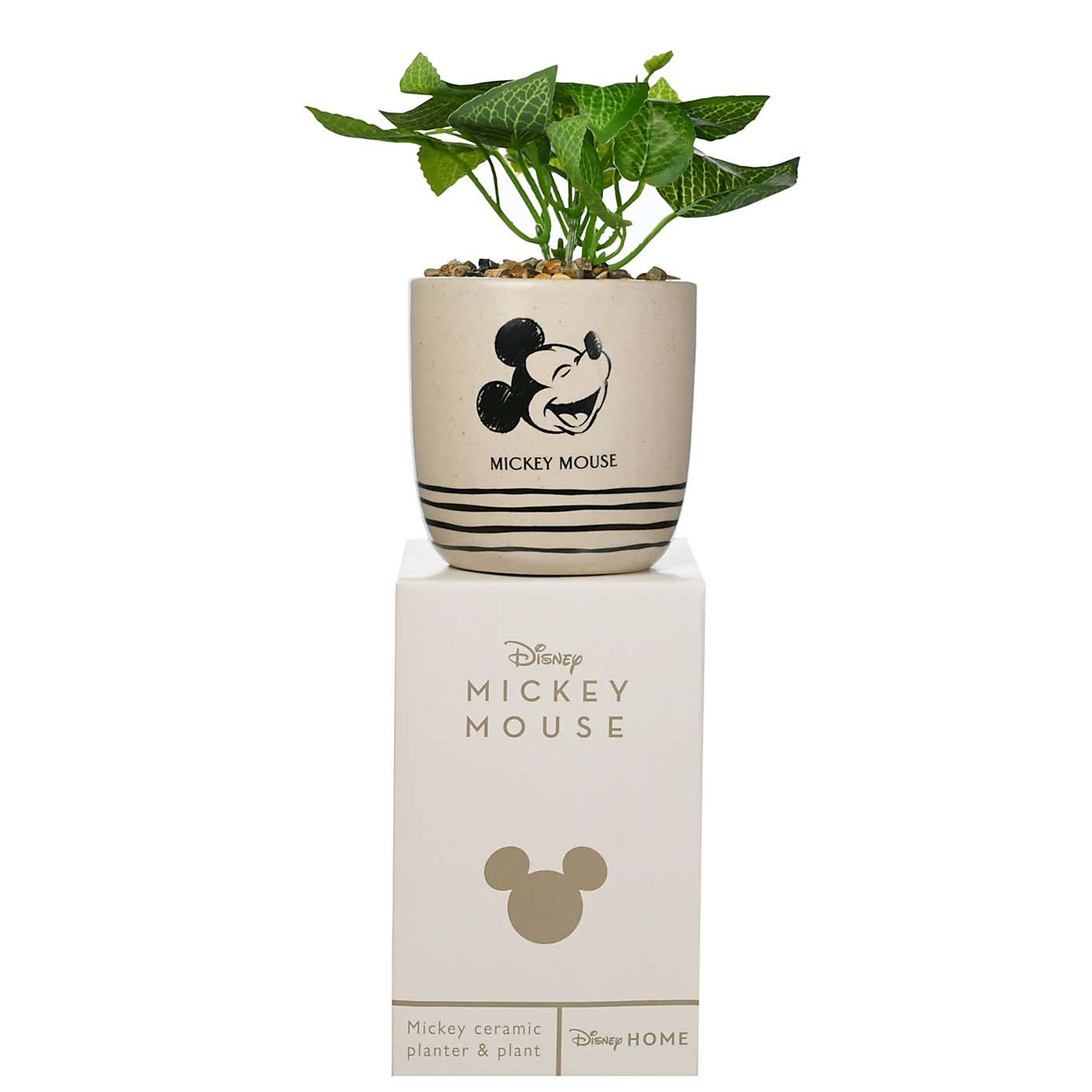 Artificial Plant in Disney Mickey Mouse Brown Ceramic Plant Pot