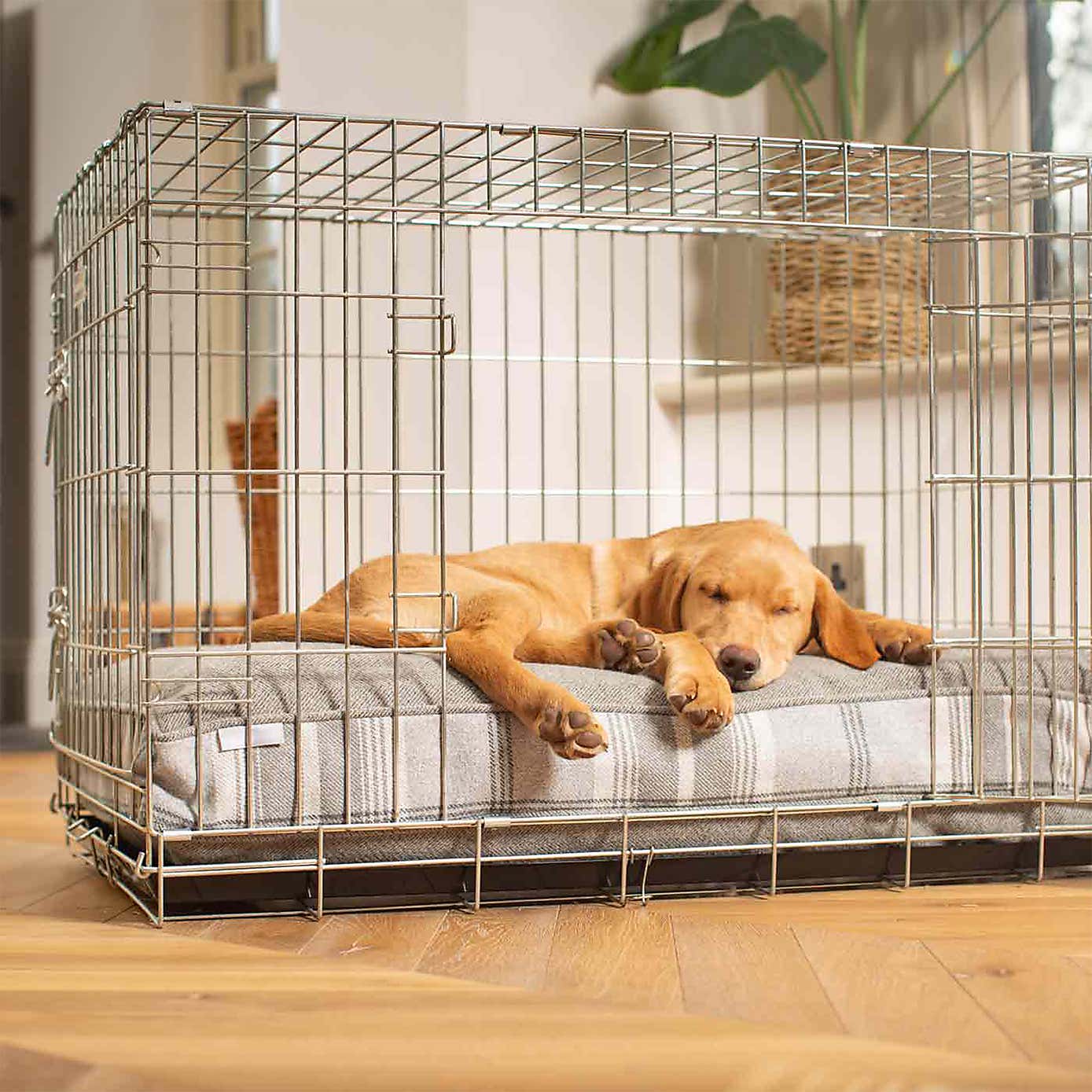 Lords and Labradors Balmoral Dog Cushion