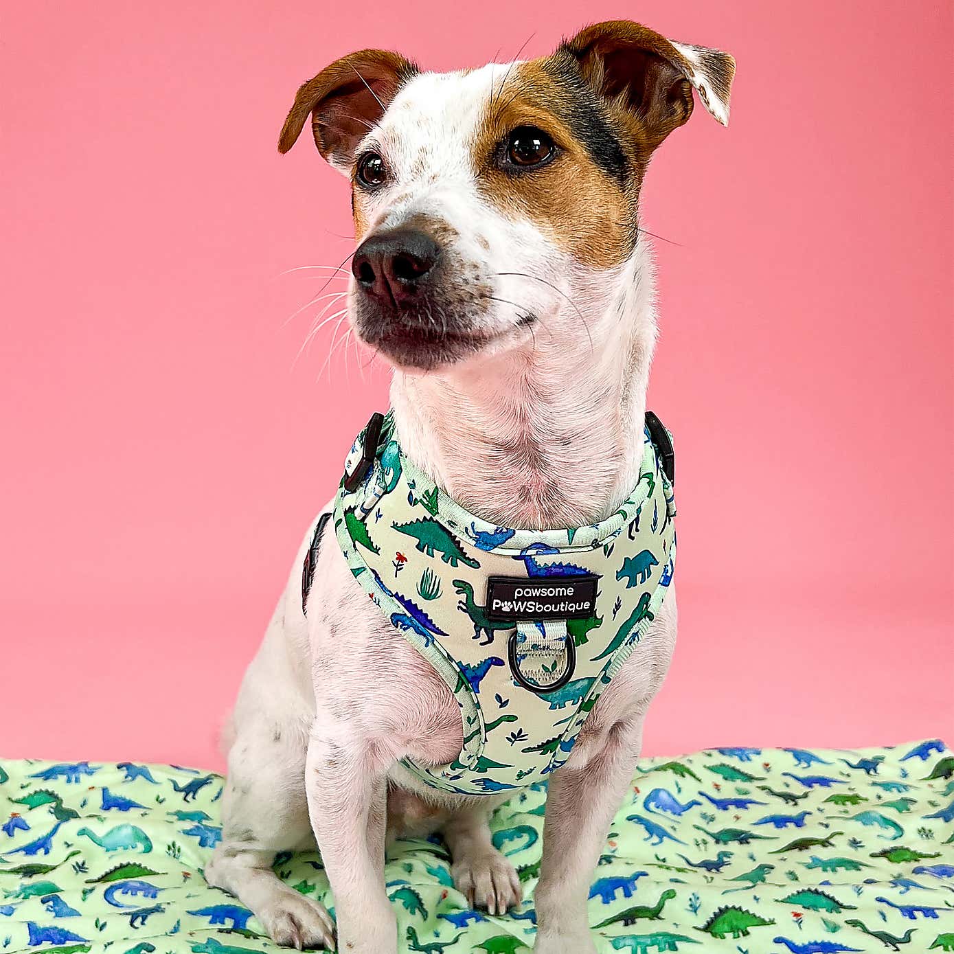 Dinky Dino Adjustable Dog Harness