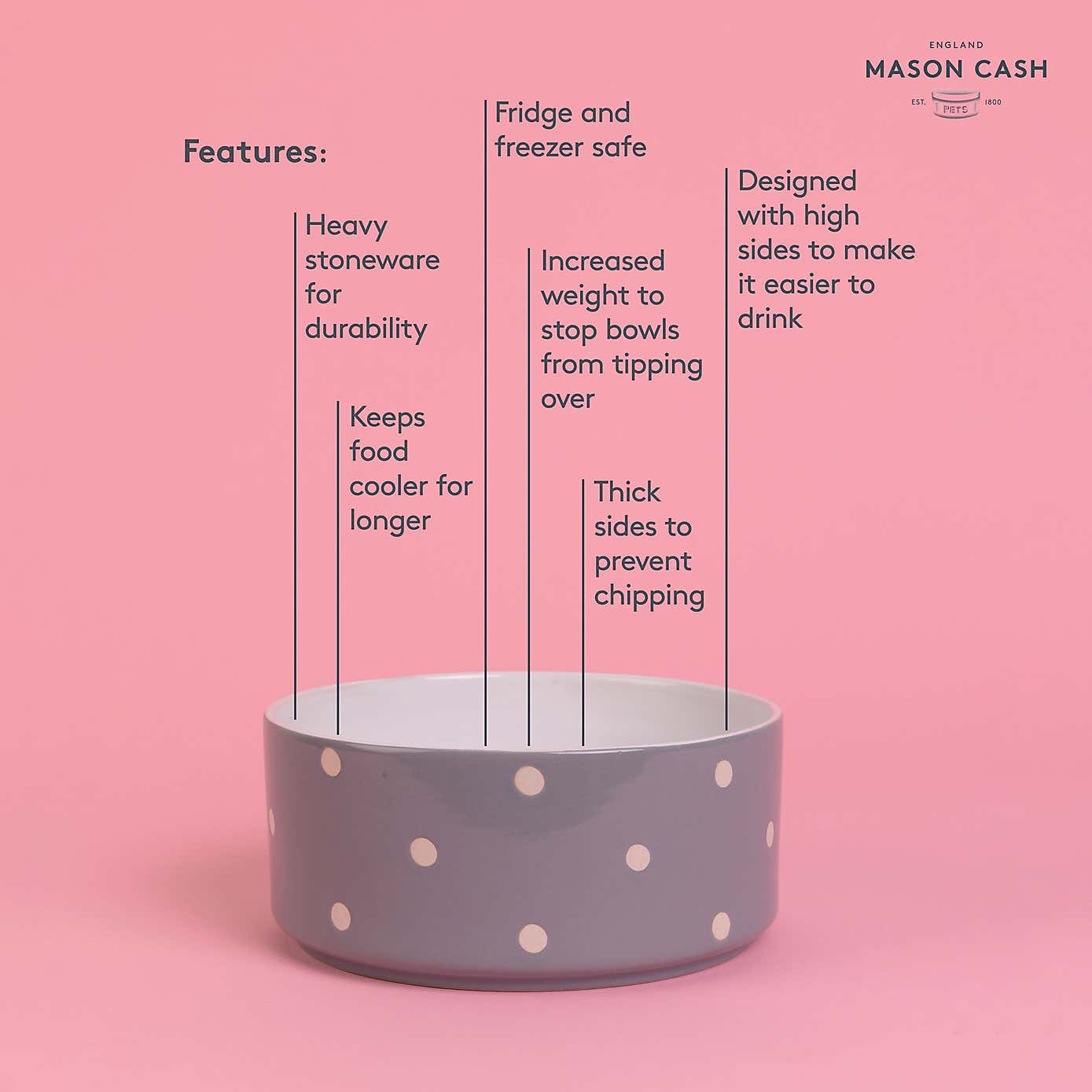 Mason Cash Set of 2 Spotty Pet Bowls