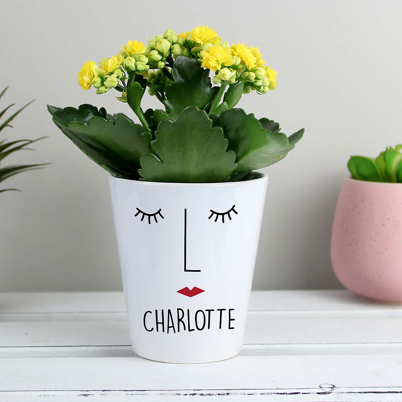 Personalised Mrs Face Plant Pot