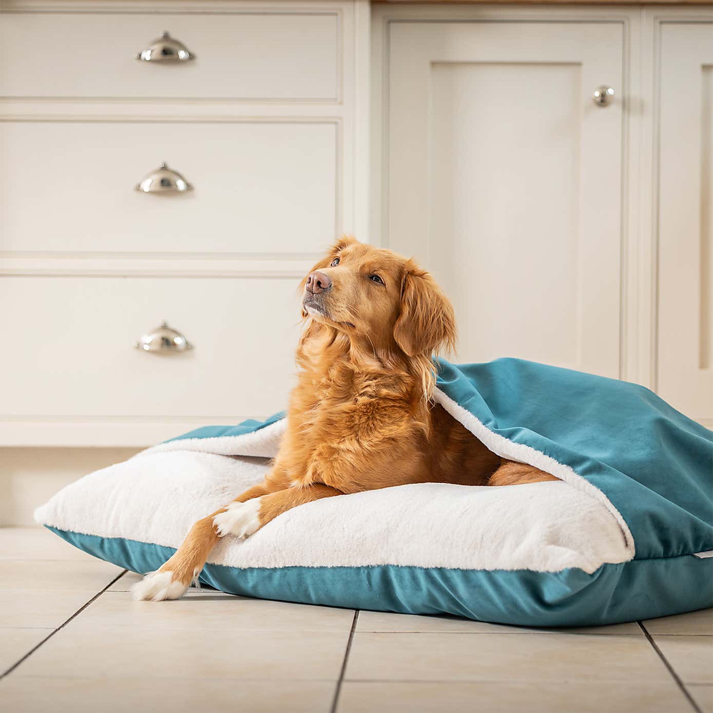 Lords and Labradors Burrow Dog Bed