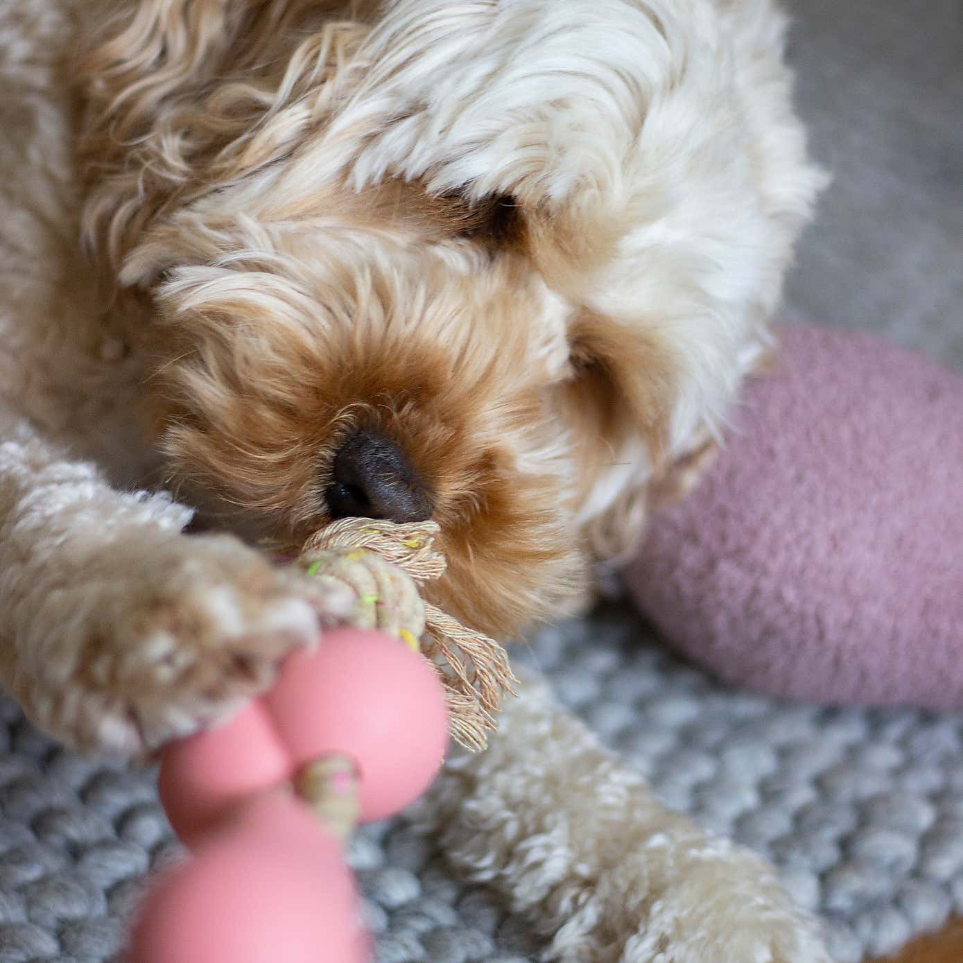 BBQ Flavour Rubber & Rope Bone