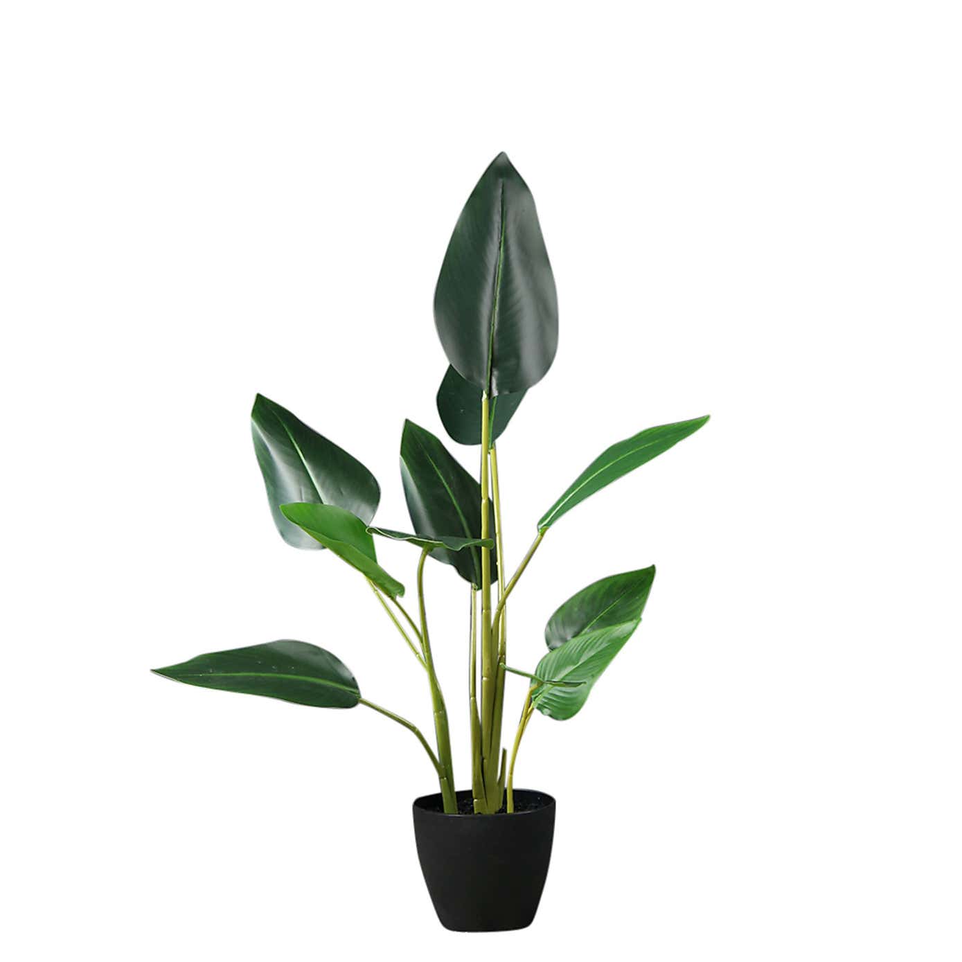 Artificial Real Touch Bird of Paradise Plant in Black Plant Pot