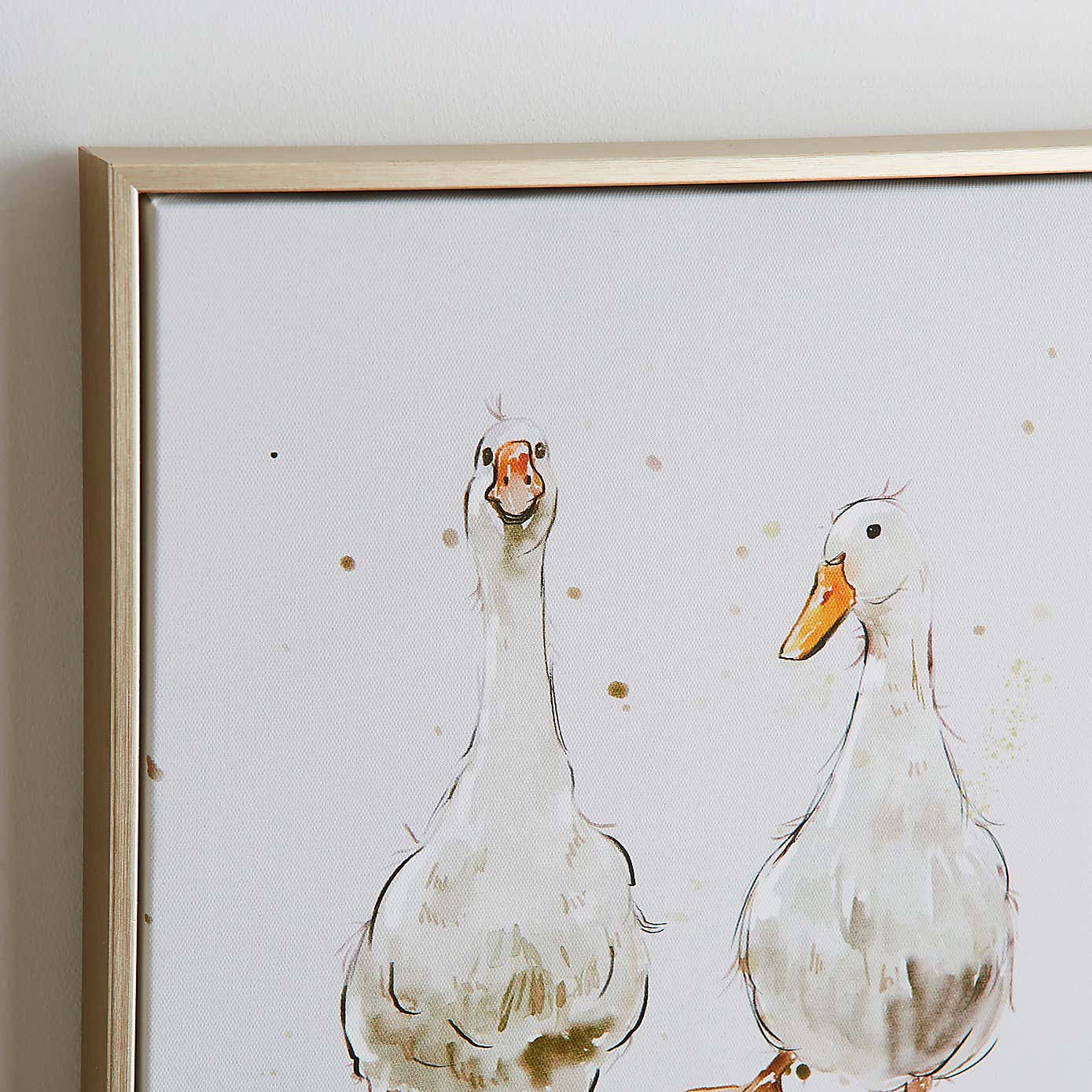 Darcy Duck Framed Canvas