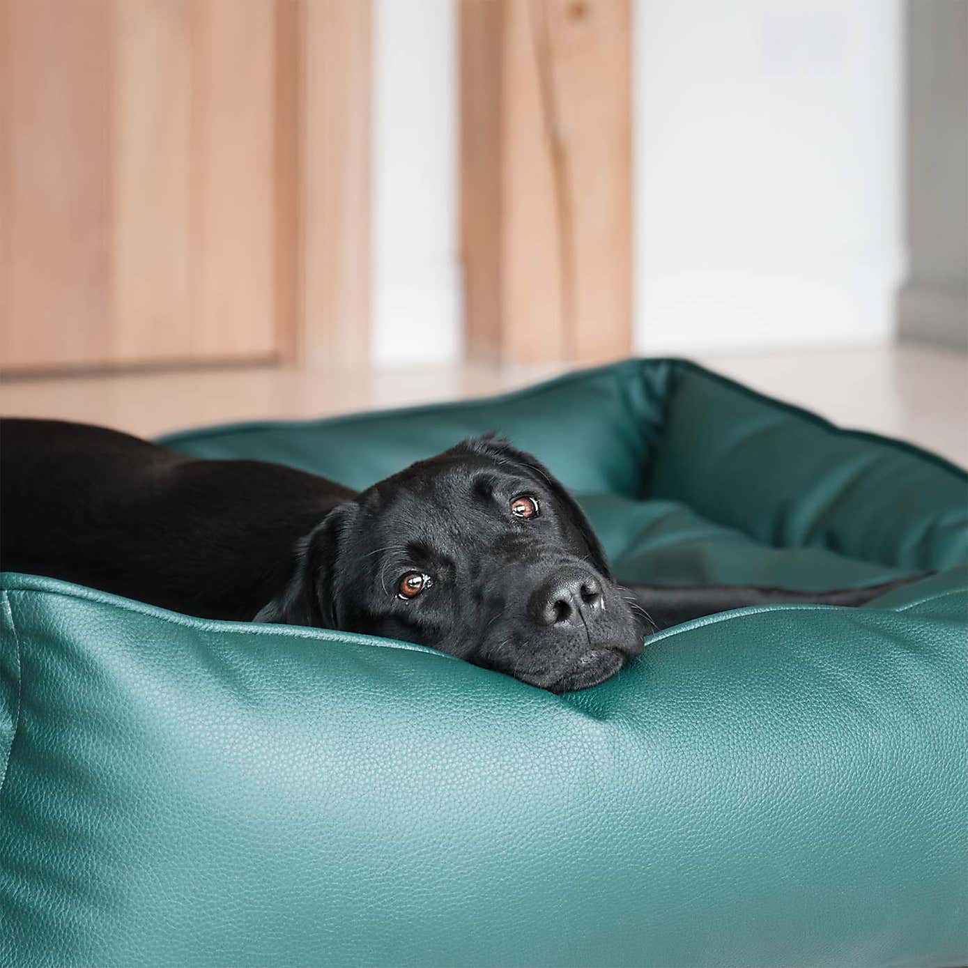 Lords and Labradors Rhino Leather Box Dog Bed