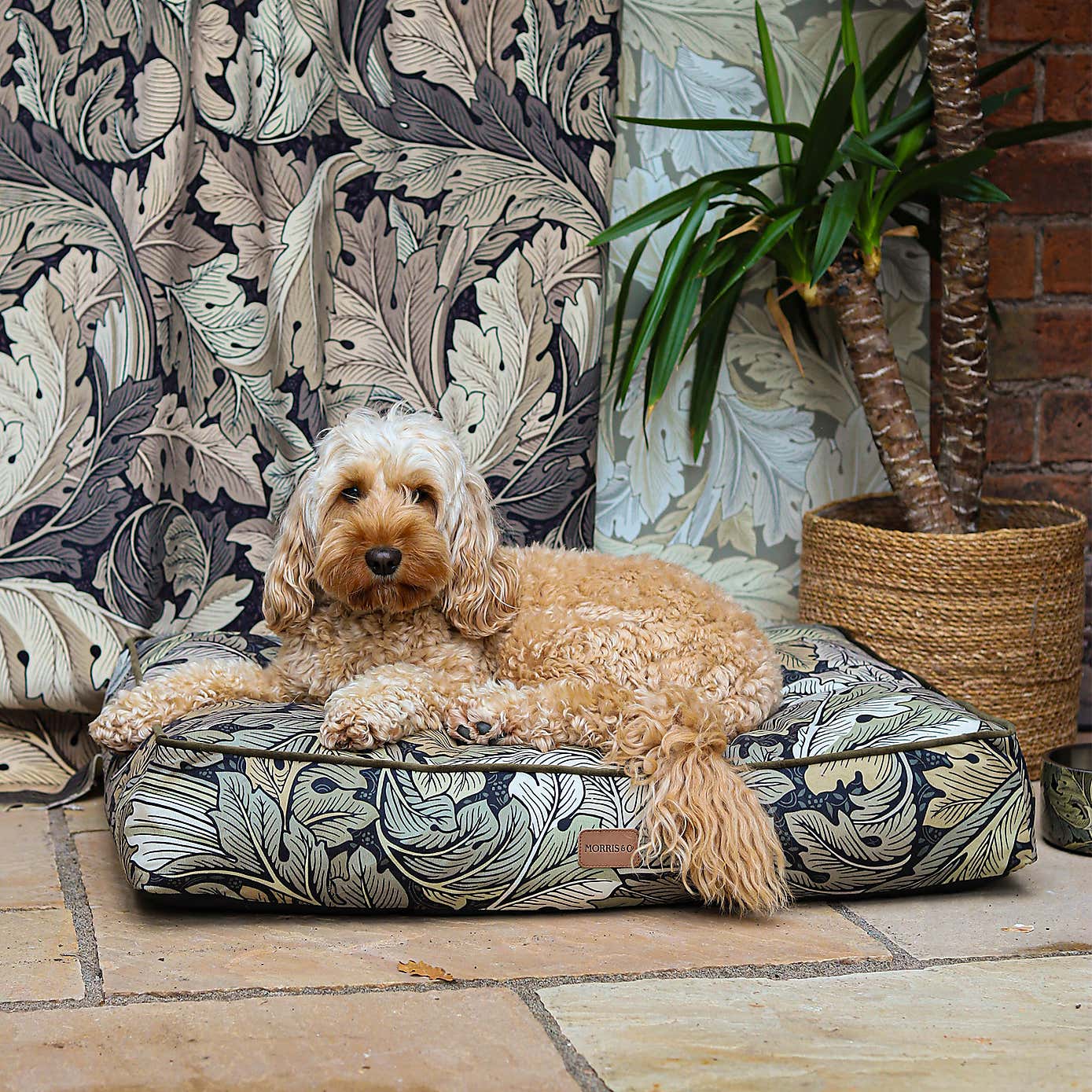 Morris & Co. Acanthus Pet Mattress
