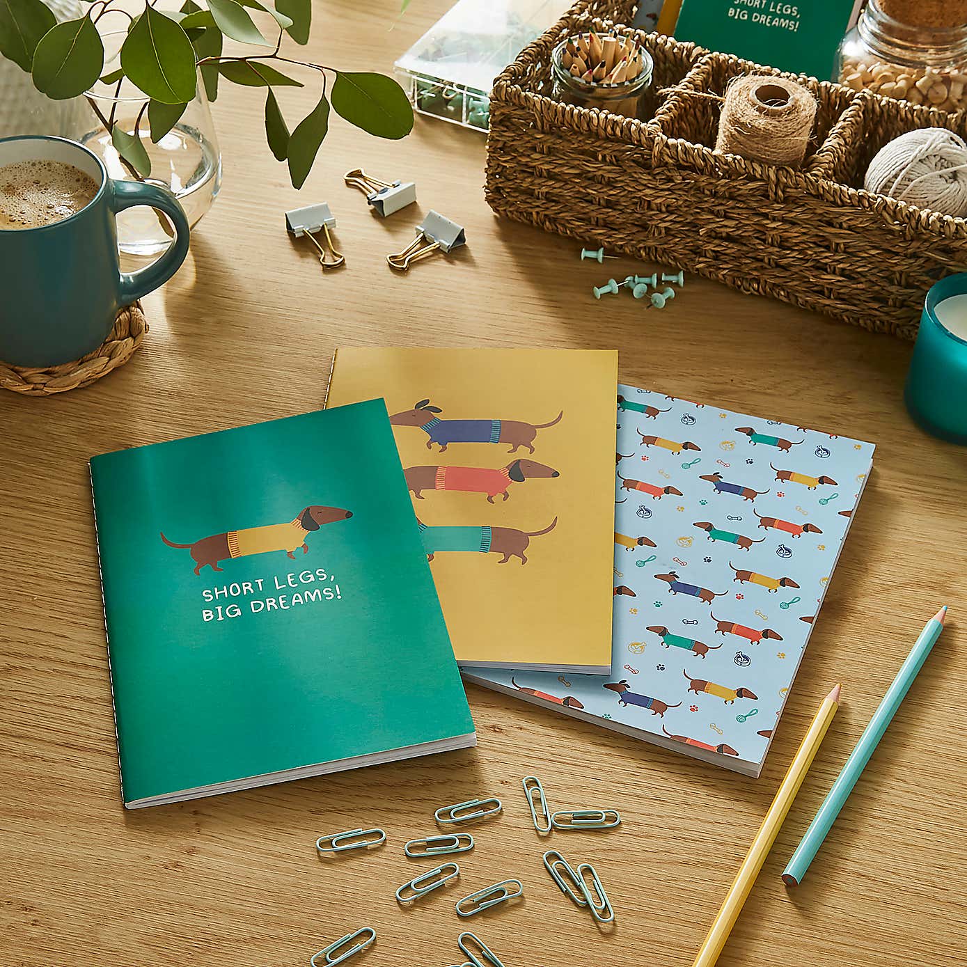 Waters & Noble Set of 3 Sausage Dog Softcover Notebooks