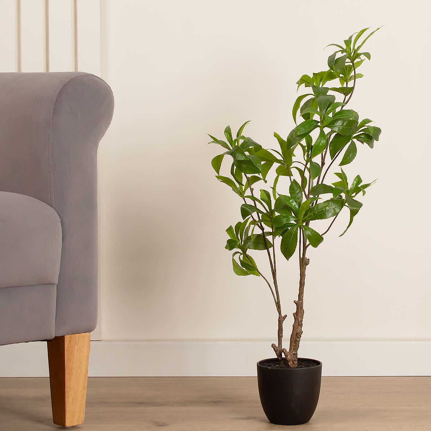 Artificial Pieris Tree in Black Plastic Plant Pot