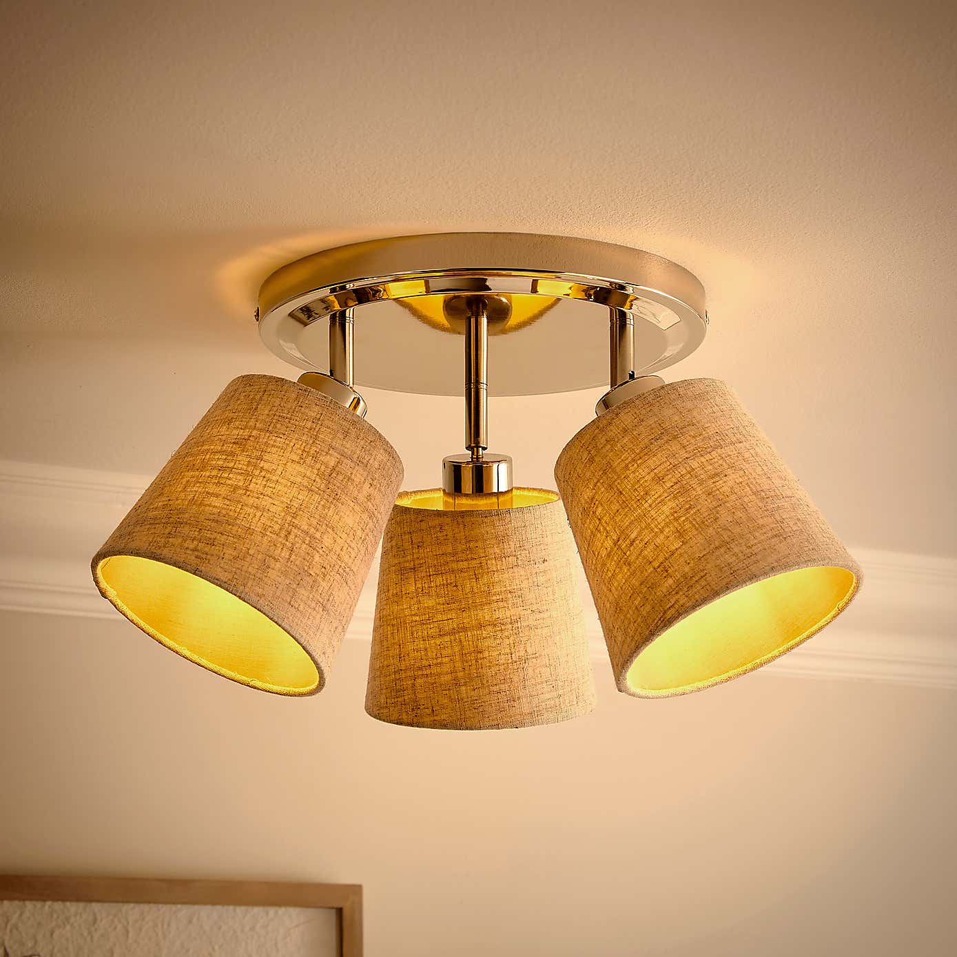 Preston 3 Light Adjustable Spotlight