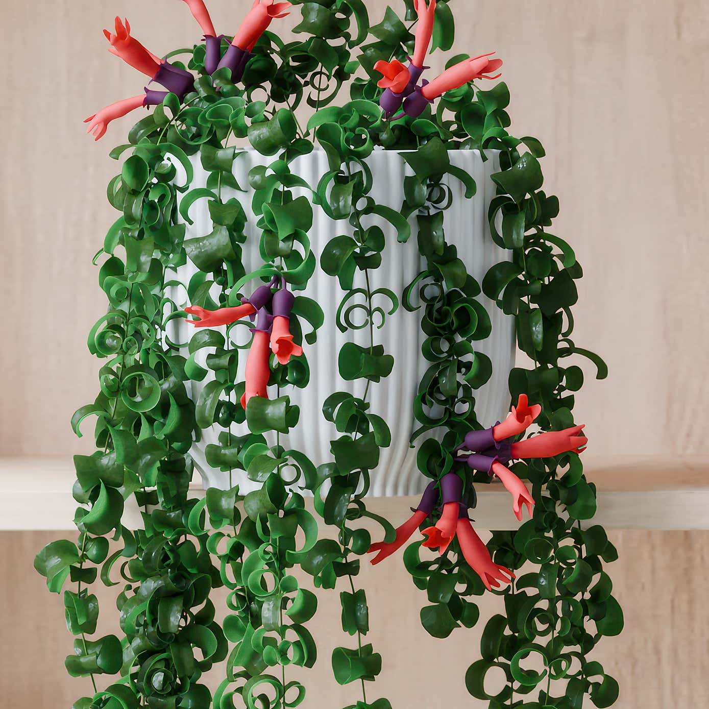 Beards & Daisies Trailing Aeschynanthus Rasta House Plant in Elho Pot