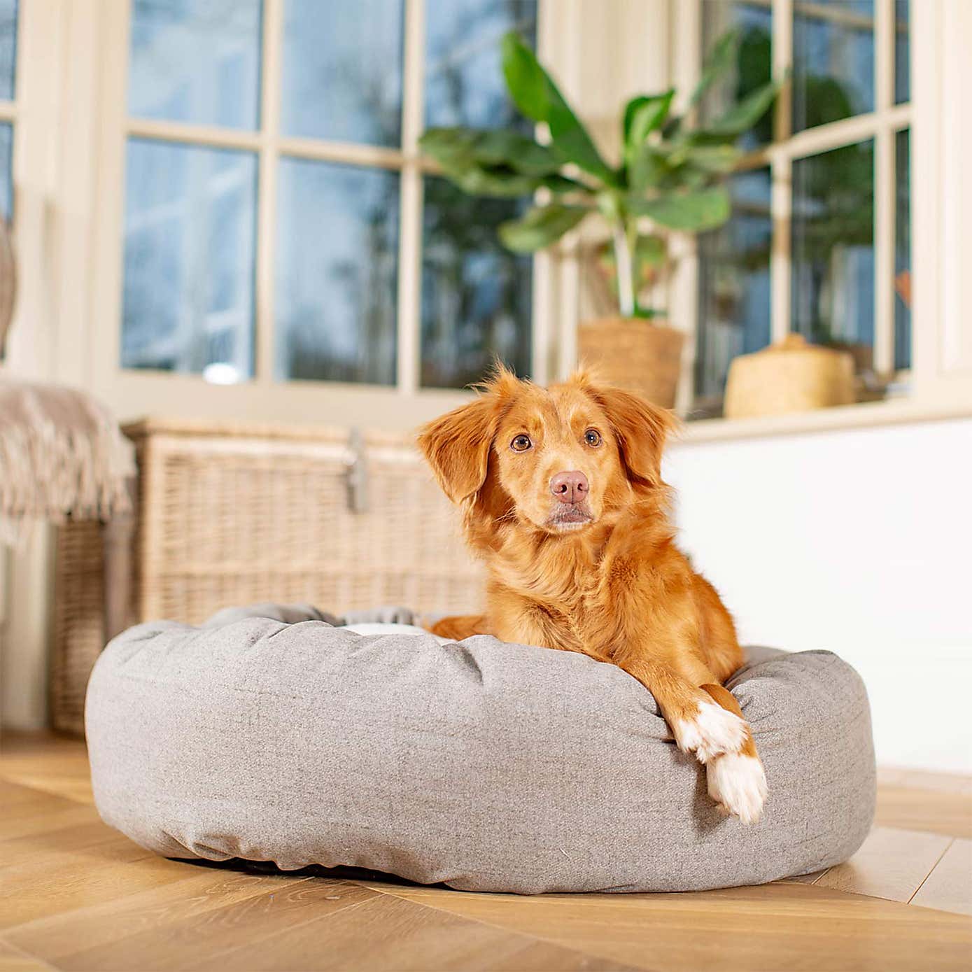 Lords and Labradors Inchmurrin Donut Dog Bed