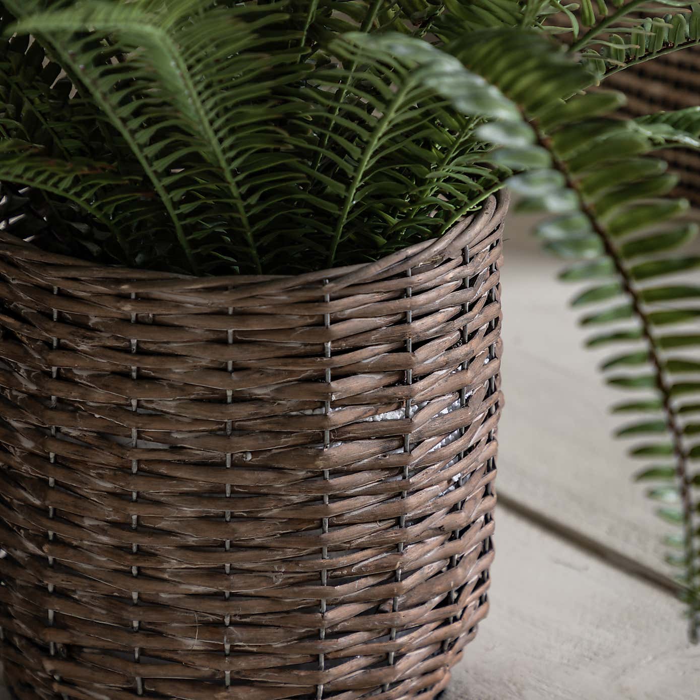 Artificial Fern in Wicker Pot