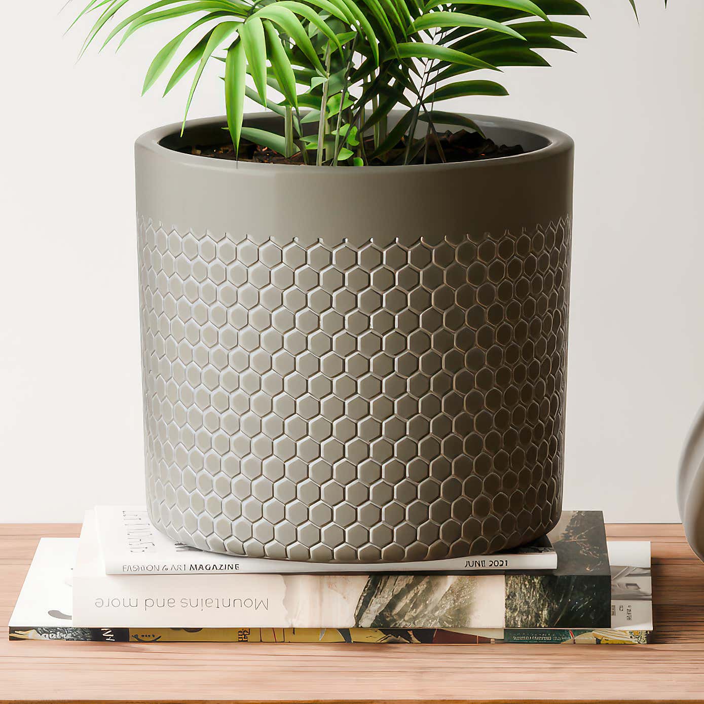 Beards & Daisies Parlour Palm House Plant in Capri Pot