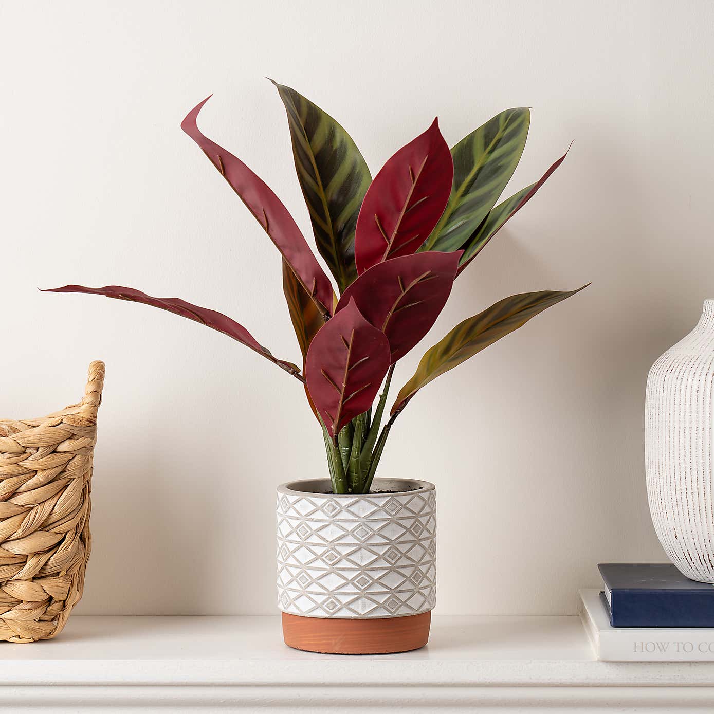 Artificial Maranta in White Ceramic Plant Pot
