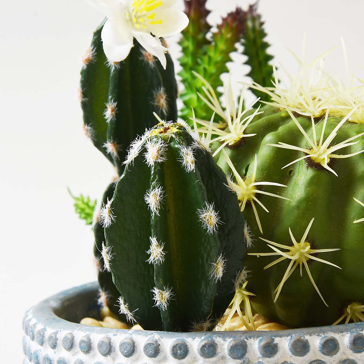 Artificial Cactus  in Textured Blue and White Plant Pot