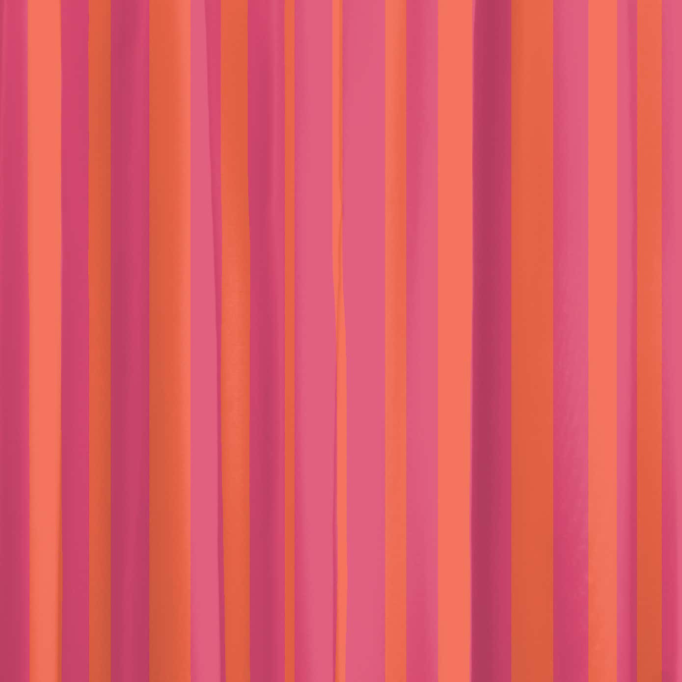 Bold Stripe Shower Curtain