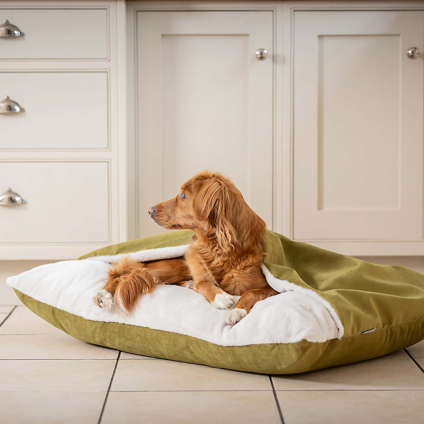 Lords and Labradors Burrow Dog Bed