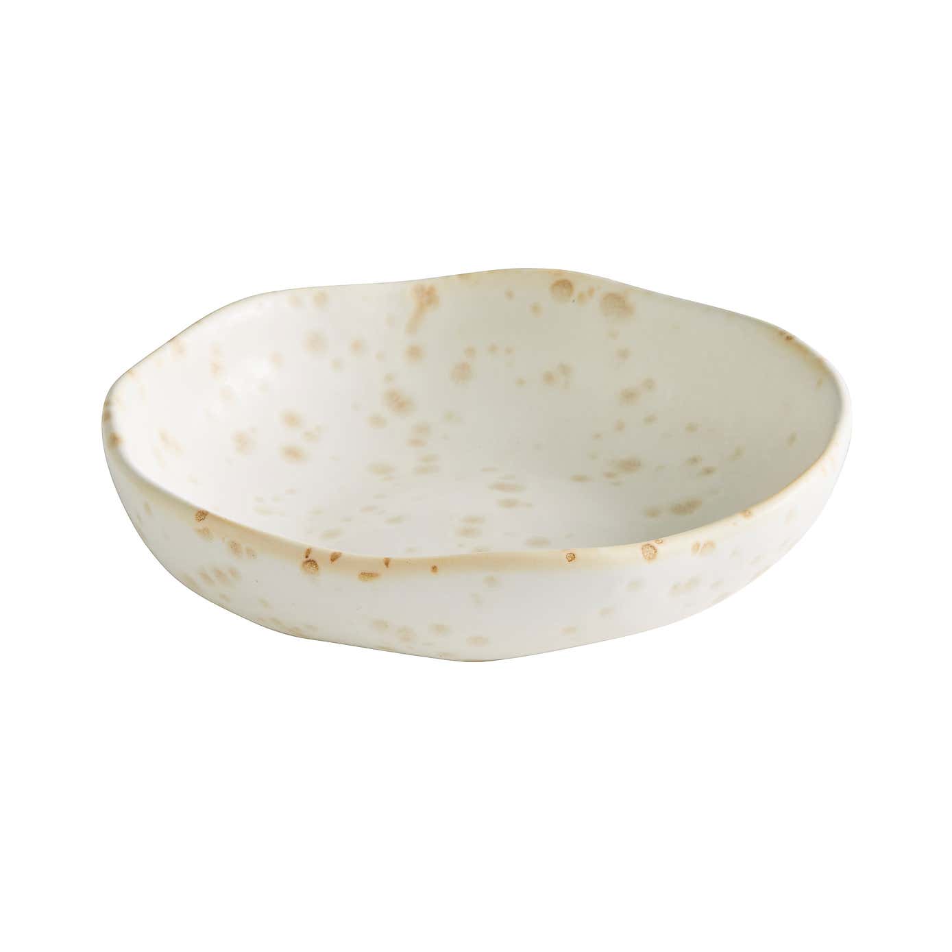 Speckle Glaze Bowl