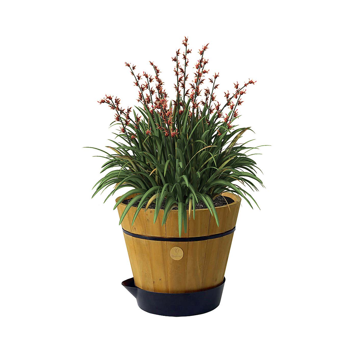 VegTrug Self Watering Saucer for Medium Barrel