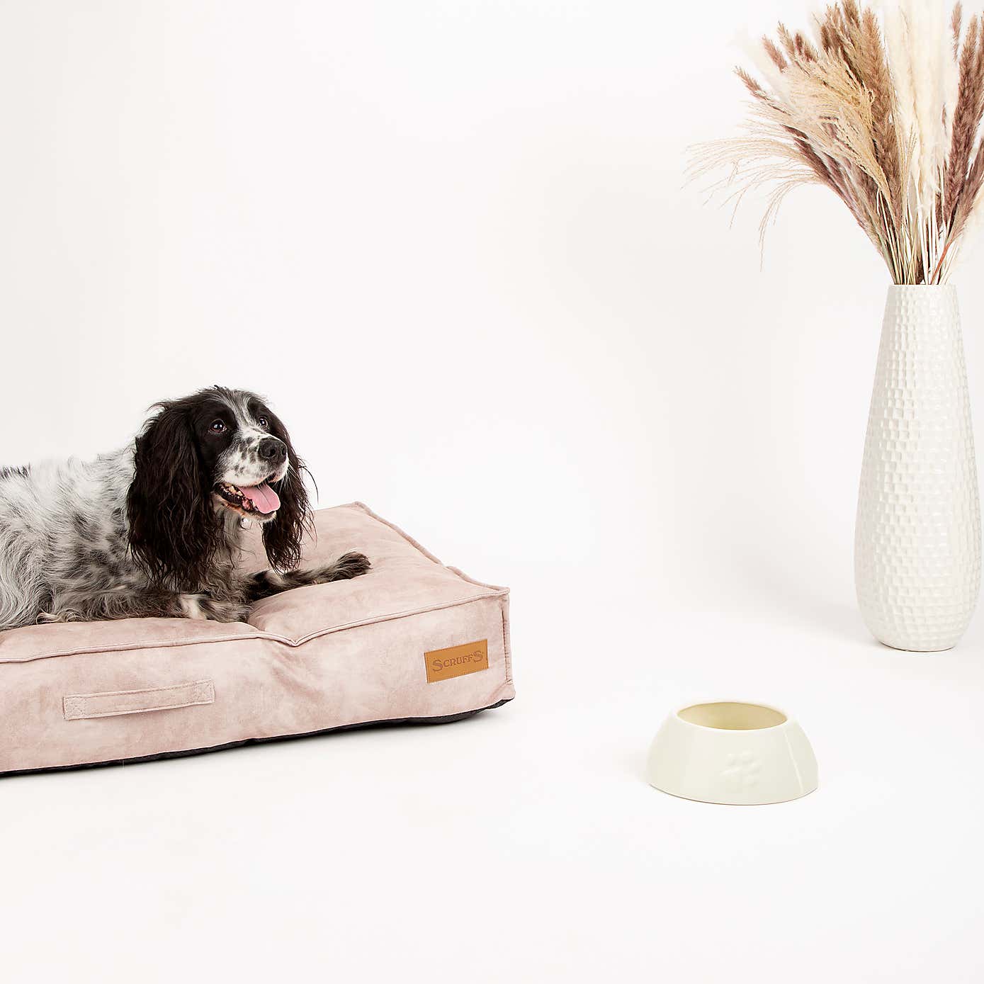 Scruffs Set of 2 Long Eared Dog Bowls