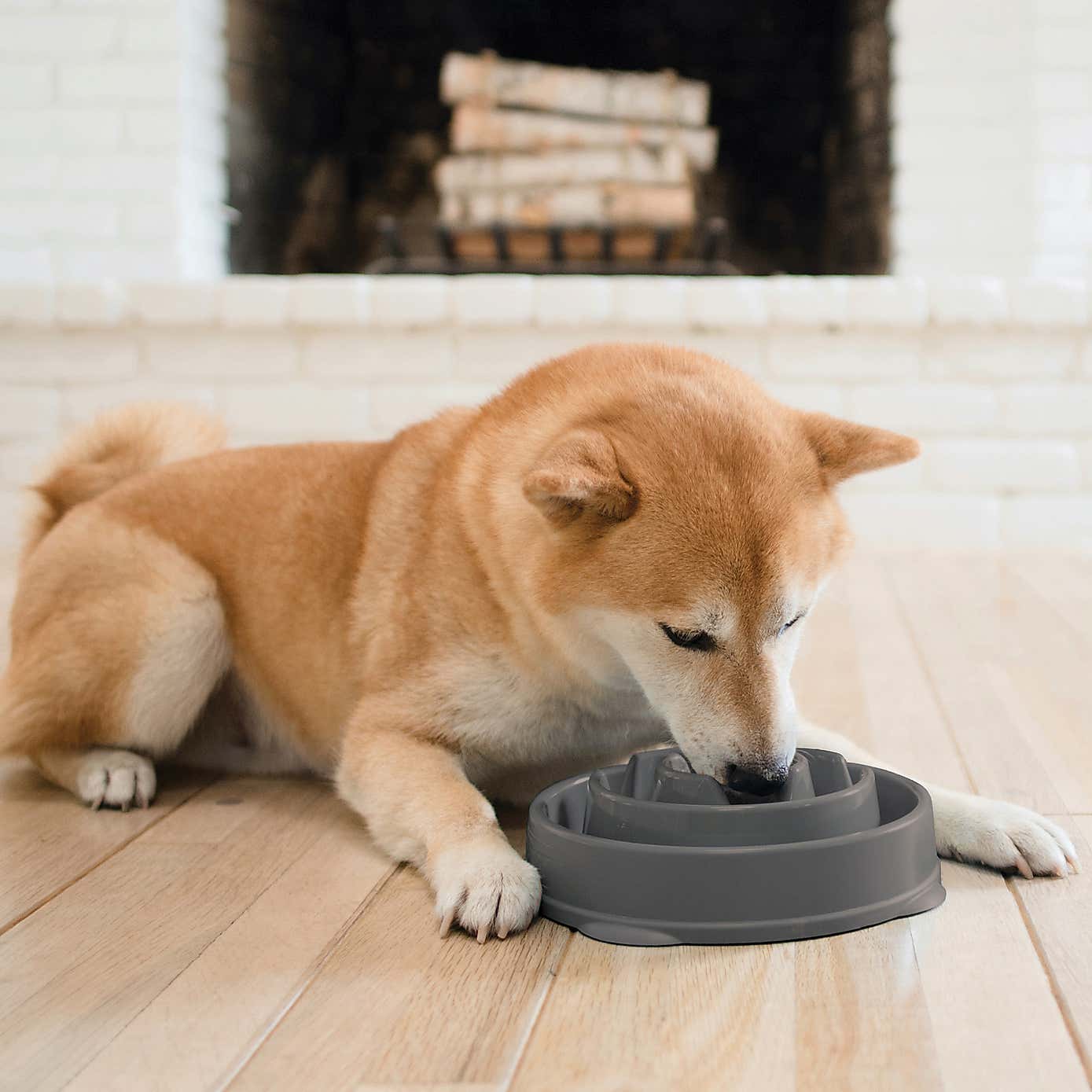 Rosewood Fun Feeder Drop Pet Bowl