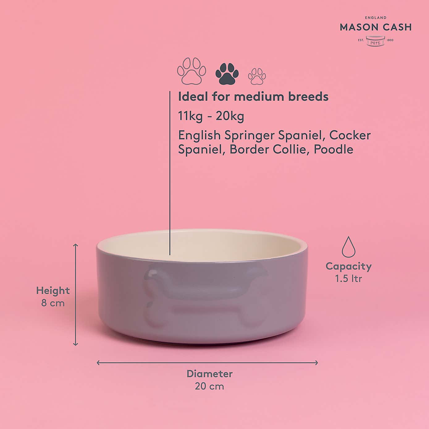 Mason Cash Set of 2 Bone Dog Bowls