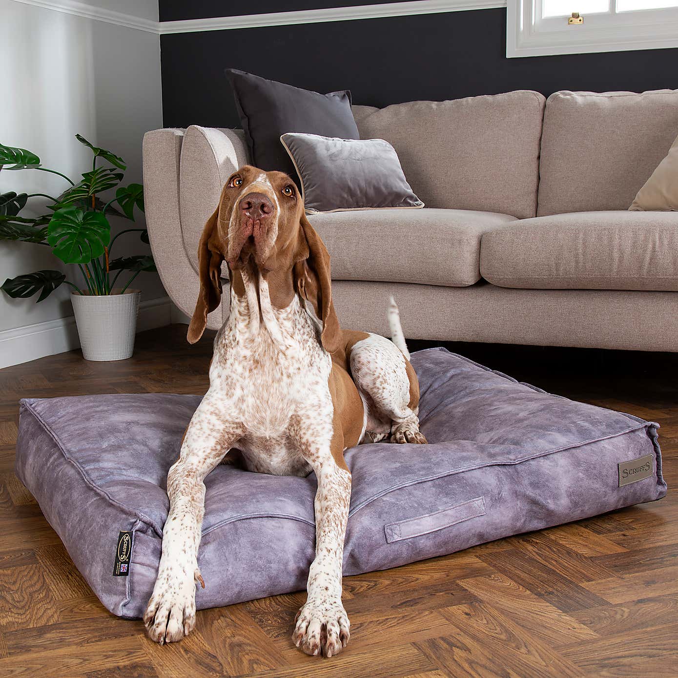Scruffs Kensington Mattress Pet Bed
