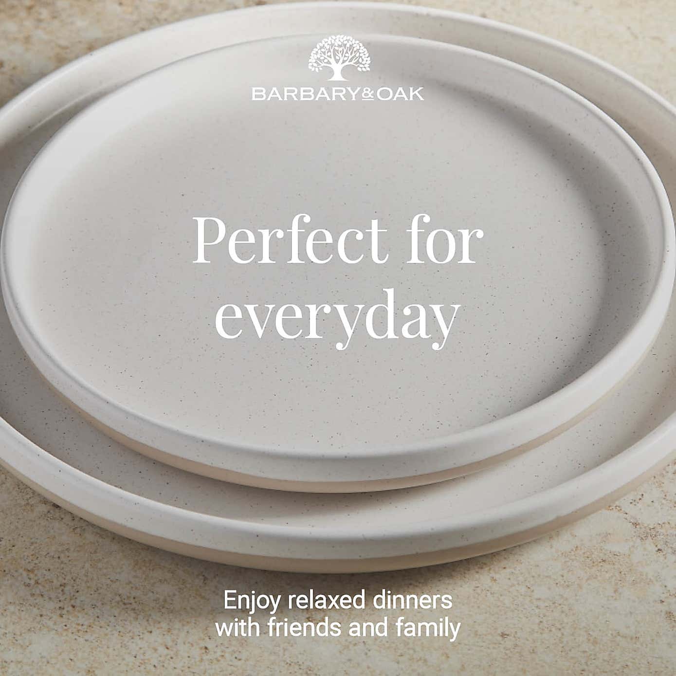 Barbary & Oak Avena Stoneware 16 Piece Dinner Set