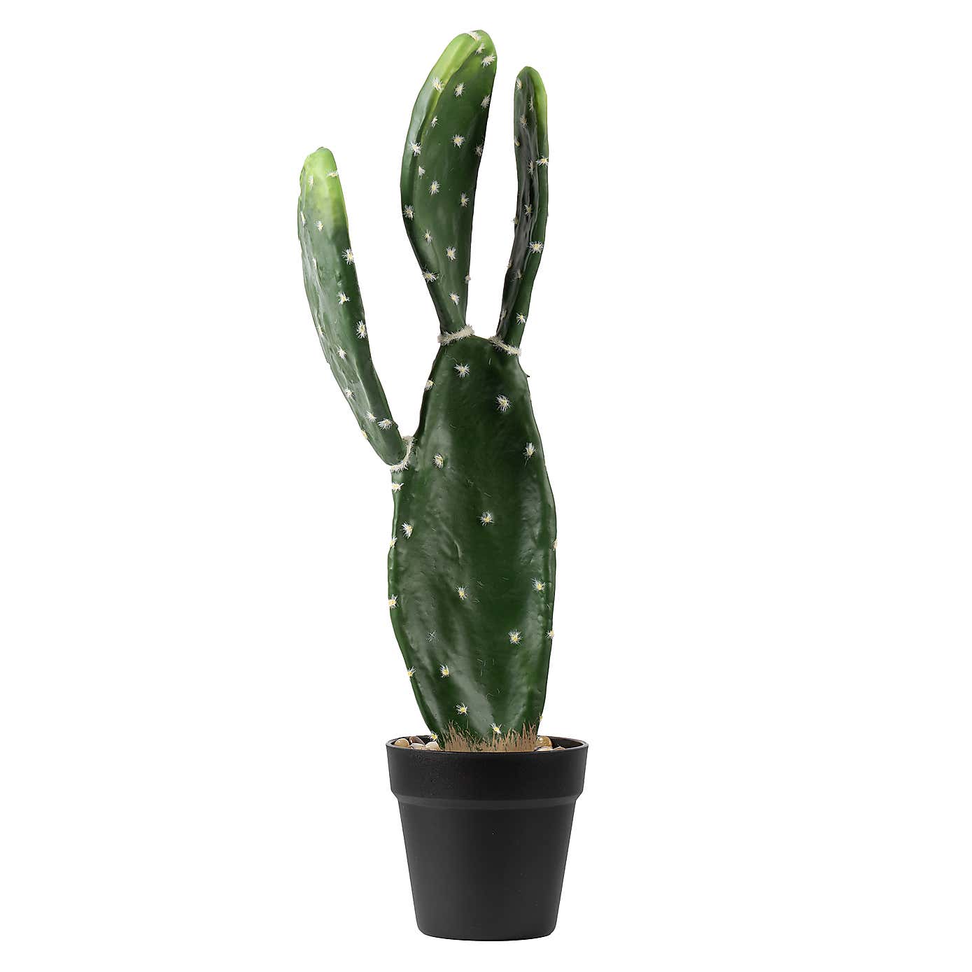 Artificial Prickly Pear in Black Plastic Plant Pot