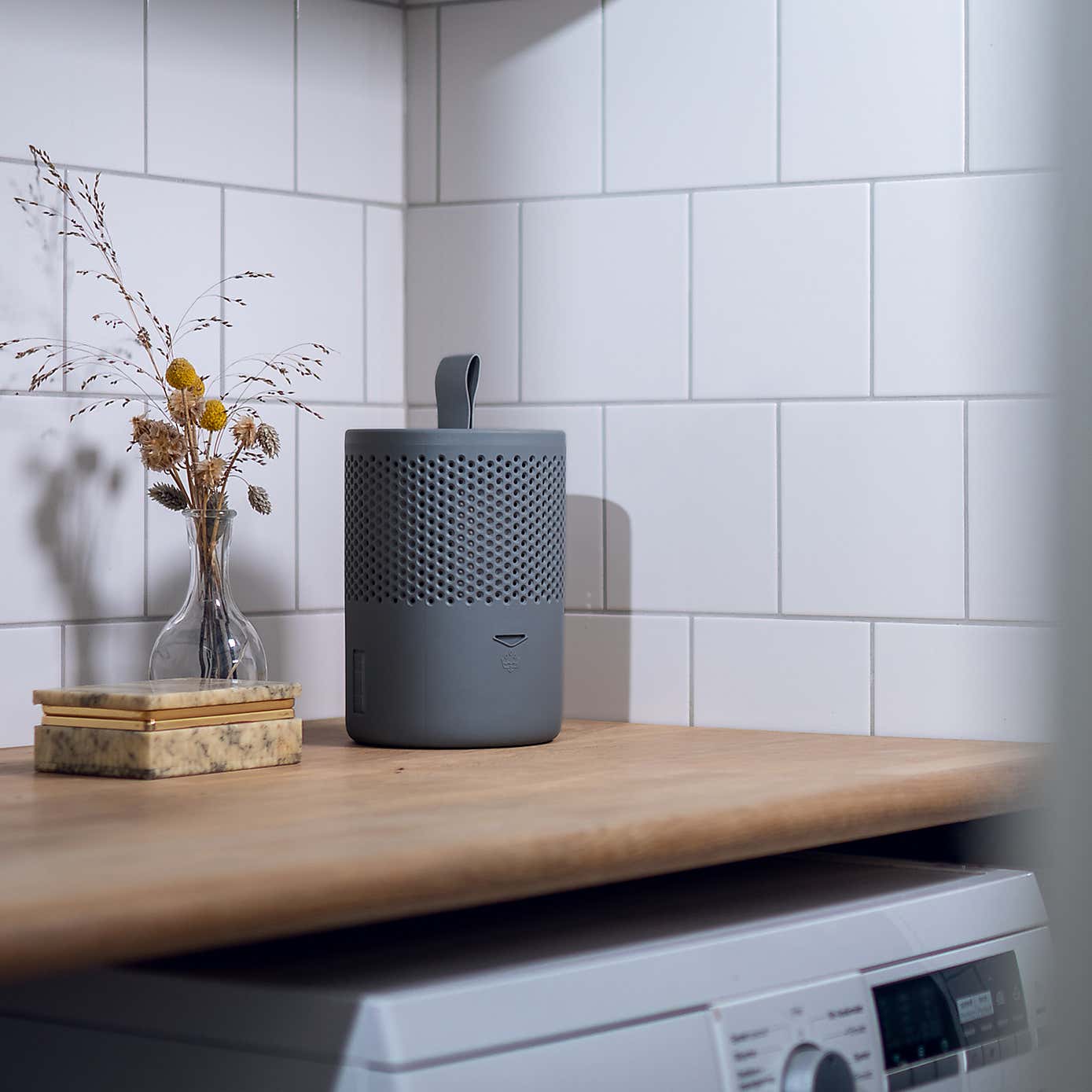 Absodry Duo Family Moisture Absorber