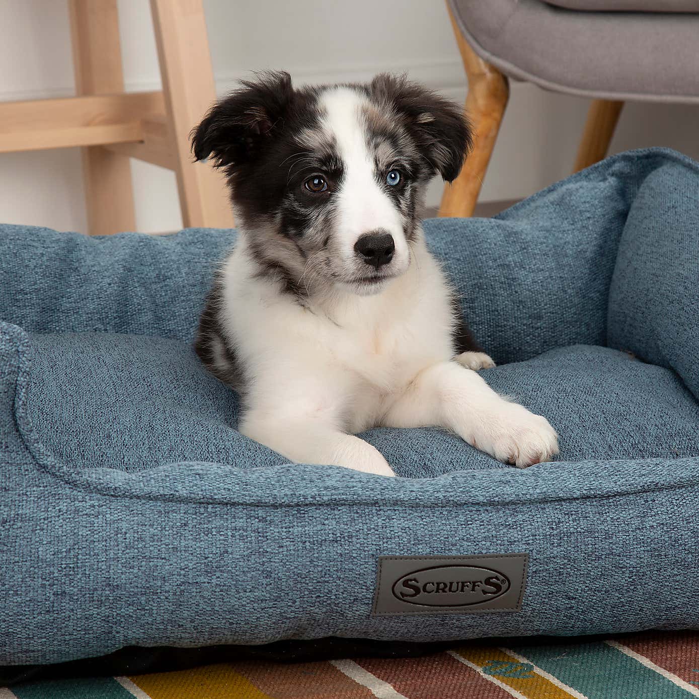Scruffs Pet Manhattan Box Bed