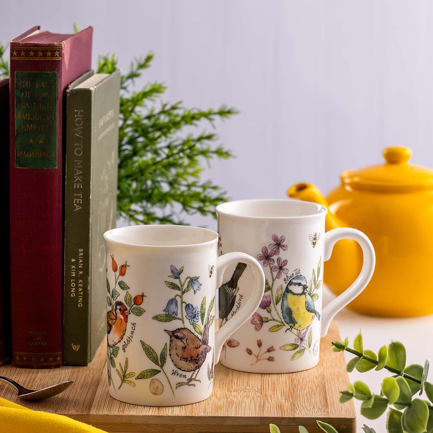 Price & Kensington Set of 2 Garden Birds Mugs