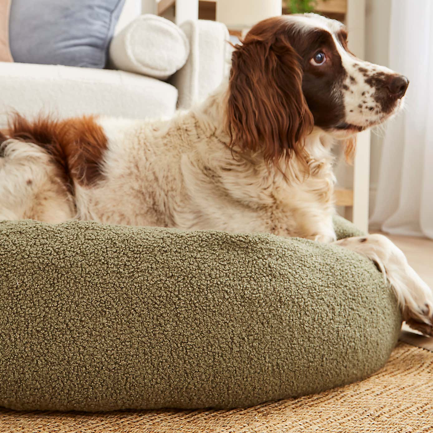 Sherpa Donut Pet Bed