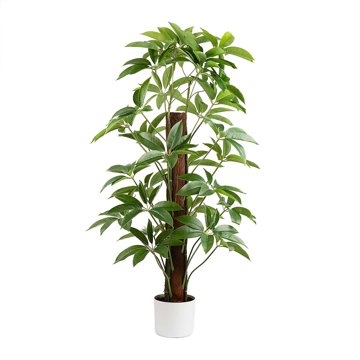 Artificial Climbing Umbrella Plant in White Plant Pot